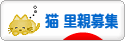 にほんブログ村 猫ブログ 猫 里親募集へ