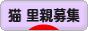 にほんブログ村 猫ブログ 猫 里親募集へ