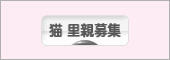 にほんブログ村 猫ブログ 猫 里親募集へ