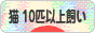 にほんブログ村 猫ブログ 猫 多頭飼い（10匹以上）へ