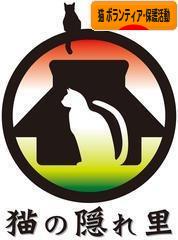 にほんブログ村 猫ブログ 猫 ボランティア・保護活動へ