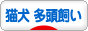 にほんブログ村 猫ブログ 猫犬 多頭飼いへ