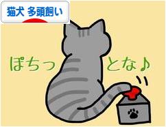 にほんブログ村 猫ブログ 猫犬 多頭飼いへ