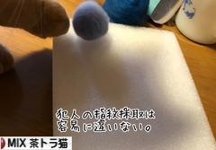 にほんブログ村 猫ブログ MIX茶トラ猫へ