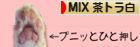 にほんブログ村 猫ブログ MIX茶トラ白猫へ