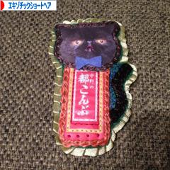 にほんブログ村 猫ブログ エキゾチックショートヘアへ