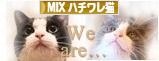 にほんブログ村 猫ブログ MIXハチワレ猫へ