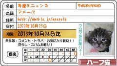 にほんブログ村 猫ブログ ハーフ猫へ