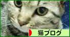 にほんブログ村 猫ブログへ
