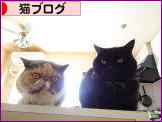 にほんブログ村 猫ブログへ