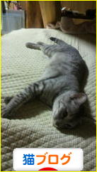にほんブログ村 猫ブログへ