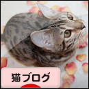 にほんブログ村 猫ブログへ