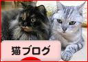 にほんブログ村 猫ブログへ