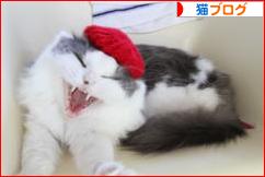 にほんブログ村 猫ブログへ