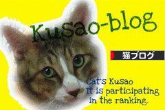 にほんブログ村 猫ブログへ