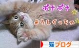 にほんブログ村 猫ブログへ