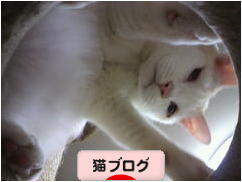 にほんブログ村 猫ブログへ