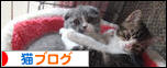 にほんブログ村 猫ブログへ
