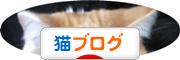 にほんブログ村 猫ブログへ