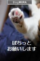にほんブログ村 猫ブログへ