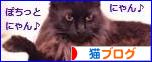 にほんブログ村 猫ブログへ