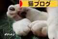 にほんブログ村 猫ブログへ