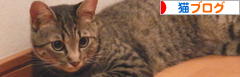にほんブログ村 猫ブログへ