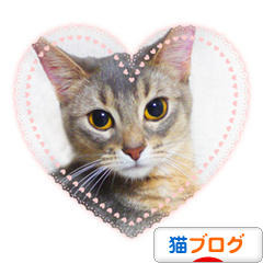にほんブログ村 猫ブログへ