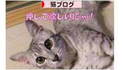 にほんブログ村 猫ブログへ