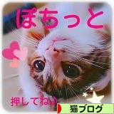 にほんブログ村 猫ブログへ