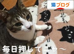 にほんブログ村 猫ブログへ