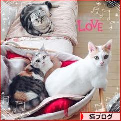 にほんブログ村 猫ブログへ