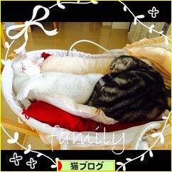 にほんブログ村 猫ブログへ