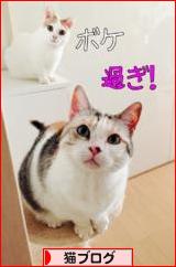 にほんブログ村 猫ブログへ