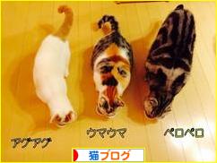 にほんブログ村 猫ブログへ