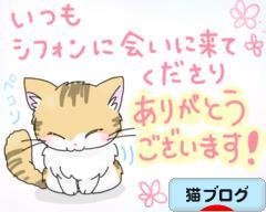 にほんブログ村 猫ブログへ
