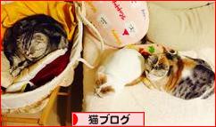 にほんブログ村 猫ブログへ