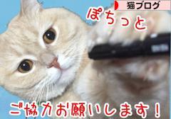 にほんブログ村 猫ブログへ