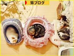 にほんブログ村 猫ブログへ