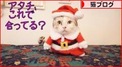 にほんブログ村 猫ブログへ