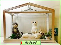 にほんブログ村 猫ブログへ