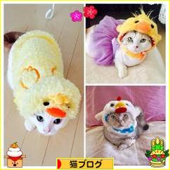 にほんブログ村 猫ブログへ