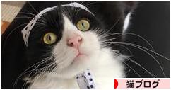 にほんブログ村 猫ブログへ
