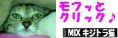 にほんブログ村 猫ブログ MIXキジトラ猫へ