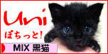 にほんブログ村 猫ブログ MIX黒猫へ