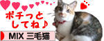 にほんブログ村 猫ブログ MIX三毛猫へ