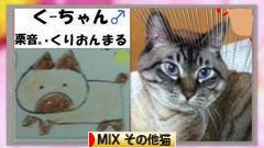 にほんブログ村 猫ブログ MIXその他猫へ