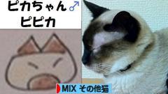 にほんブログ村 猫ブログ MIXその他猫へ