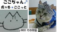 にほんブログ村 猫ブログ MIXその他猫へ