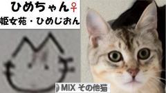 にほんブログ村 猫ブログ MIXその他猫へ